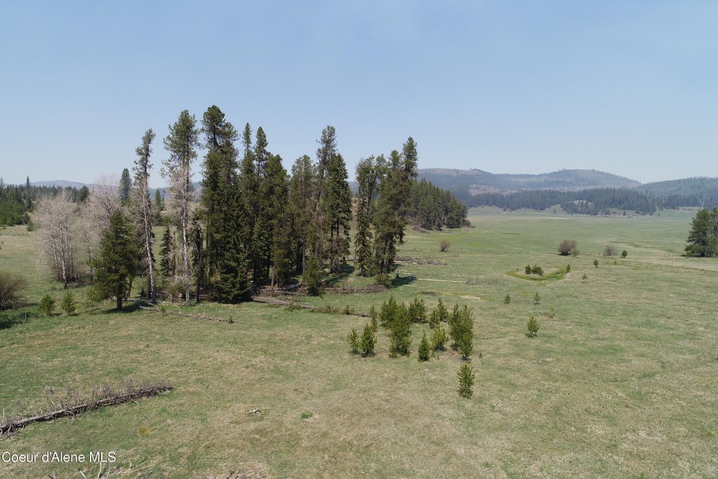 Emida, Idaho, 83861, United States, ,Land,Forsale,1984581