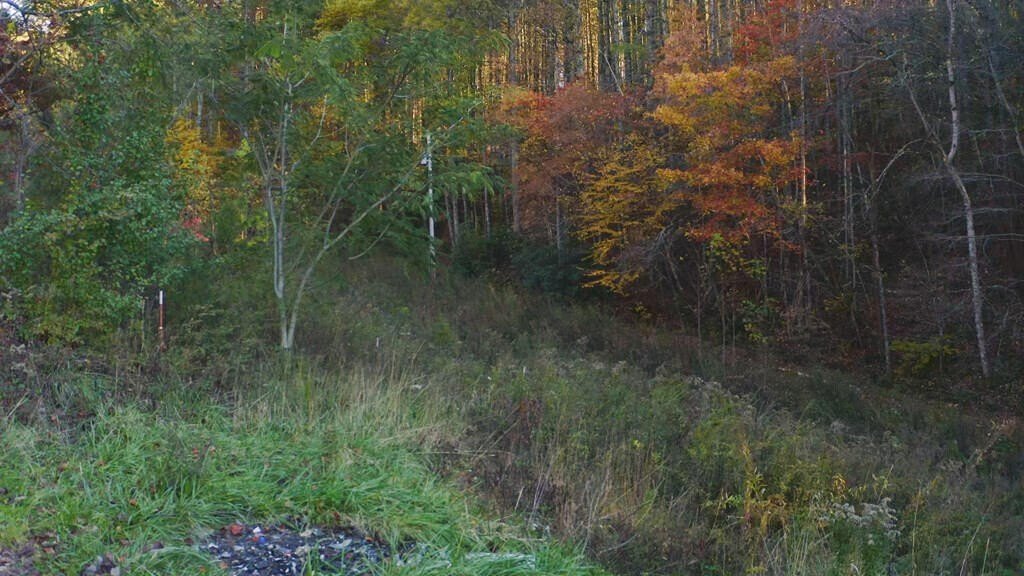 Del Rio, Tennessee, 37727, United States, ,Land,Forsale,2001121