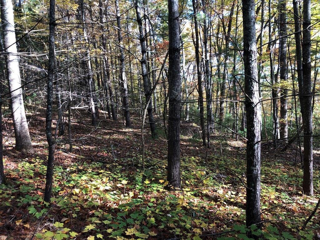 Del Rio, Tennessee, 37727, United States, ,Land,Forsale,2001121