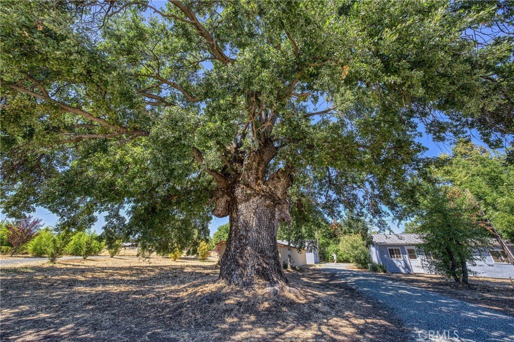Lakeport, California, 95453, United States, 4 Bedrooms Bedrooms, ,3 BathroomsBathrooms,Residential,Forsale,1953140
