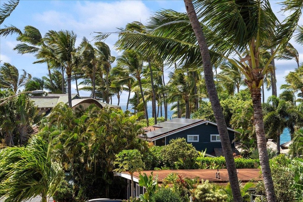Paia, Hawaii, 96779, United States, 1 Bedroom Bedrooms, ,1 BathroomBathrooms,Residential,Forsale,1944123