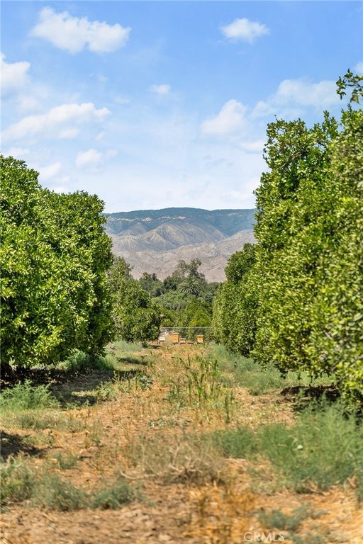 Redlands, California, 92374, United States, ,Land,Forsale,1941466