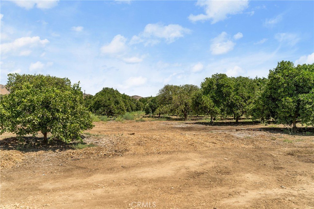 Redlands, California, 92374, United States, ,Land,Forsale,1941466