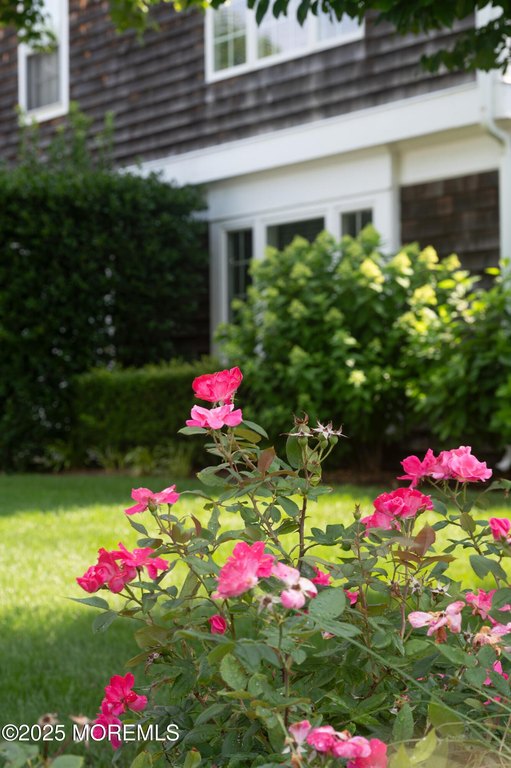 Mantoloking, New Jersey, 08738, United States, 4 Bedrooms Bedrooms, ,3 BathroomsBathrooms,Residential,Forsale,1922689