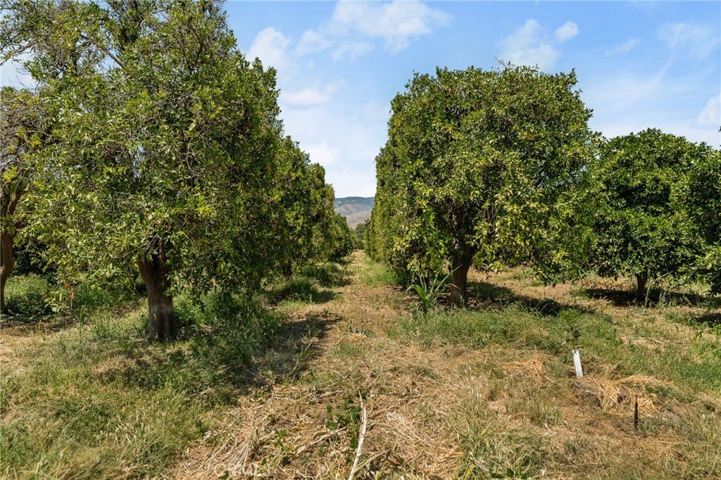 Redlands, California, 92374, United States, ,Land,Forsale,1941466