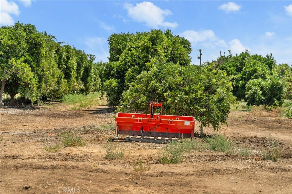 Redlands, California, 92374, United States, ,Land,Forsale,1941466