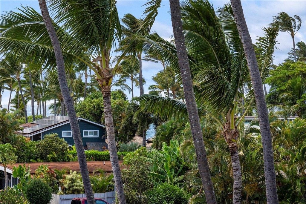 Paia, Hawaii, 96779, United States, 1 Bedroom Bedrooms, ,1 BathroomBathrooms,Residential,Forsale,1944123