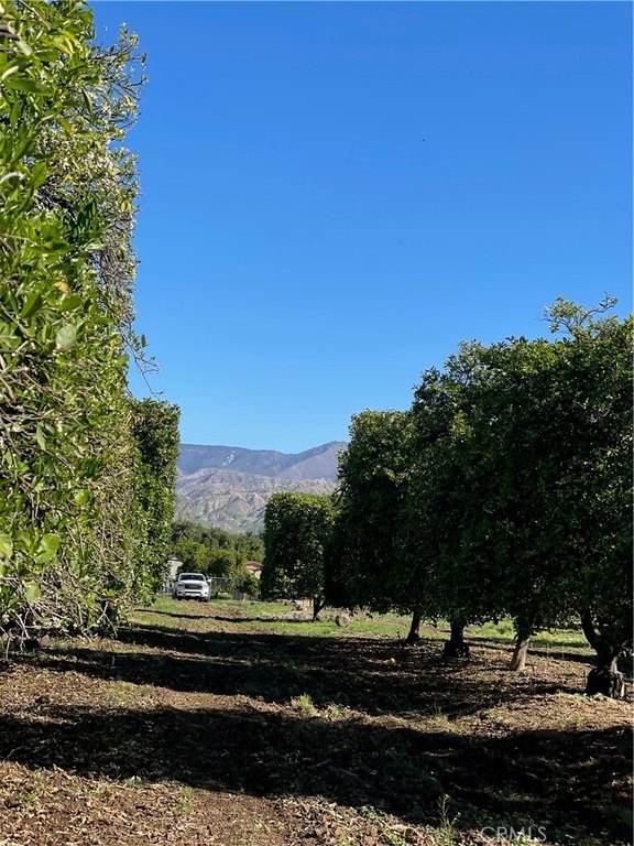 Redlands, California, 92374, United States, ,Land,Forsale,1941466
