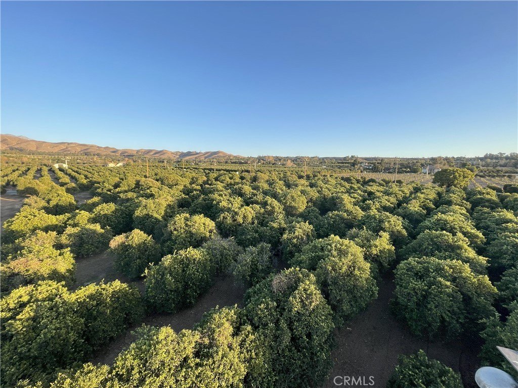 Redlands, California, 92374, United States, ,Land,Forsale,1941466