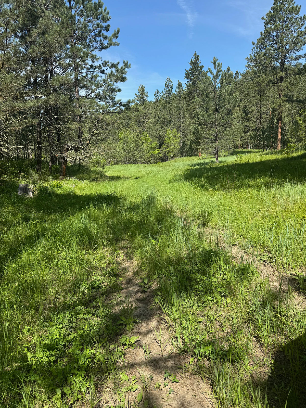 Devils Tower, Wyoming, 82714, United States, 2 Bedrooms Bedrooms, ,1 BathroomBathrooms,Land,Forsale,1919007
