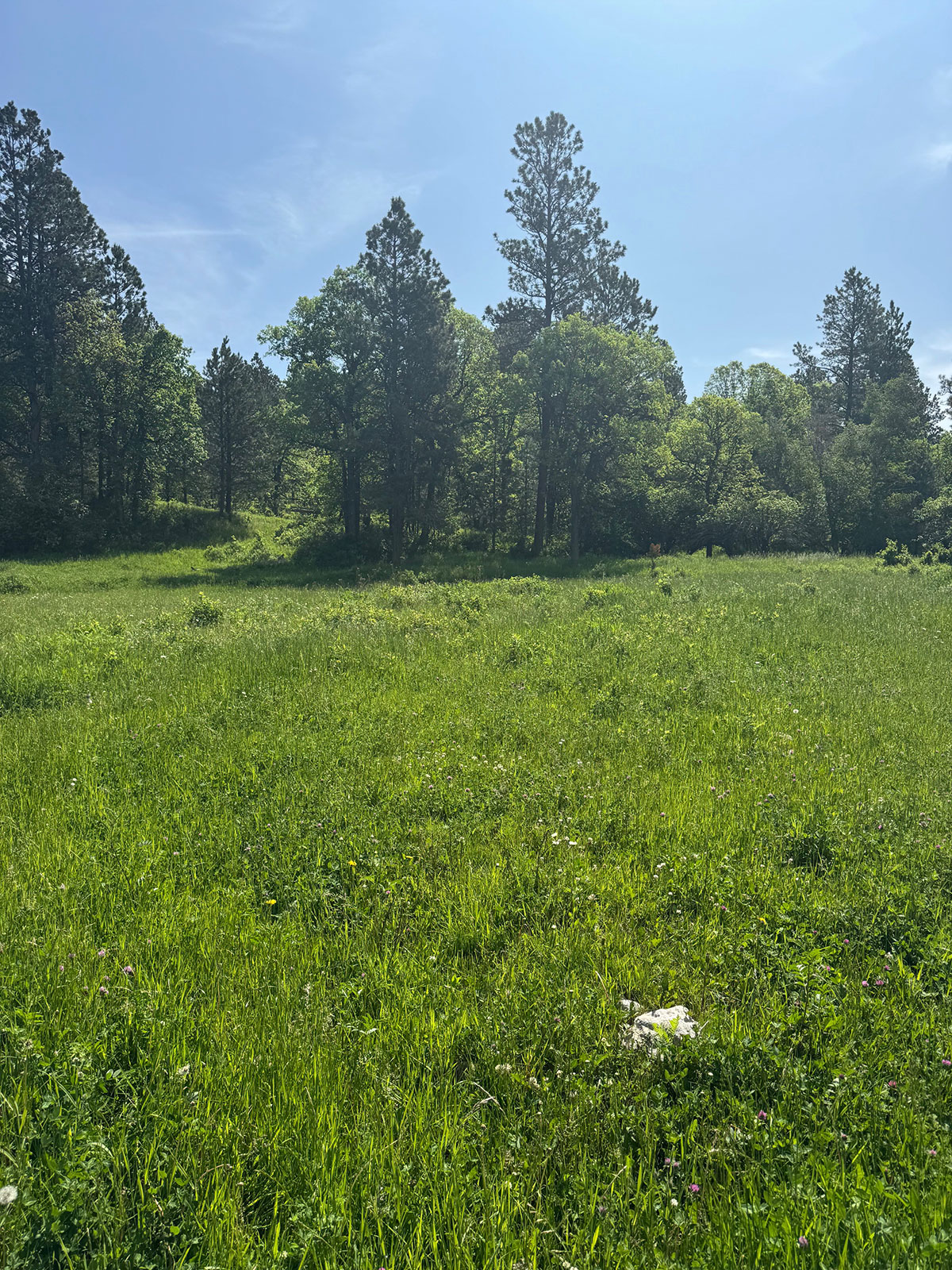 Devils Tower, Wyoming, 82714, United States, 2 Bedrooms Bedrooms, ,1 BathroomBathrooms,Land,Forsale,1919007