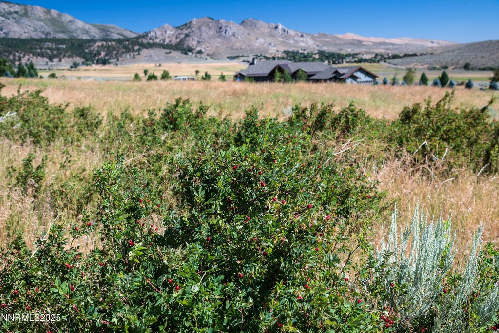 Genoa, Nevada, 89411, United States, ,Land,Forsale,1967387