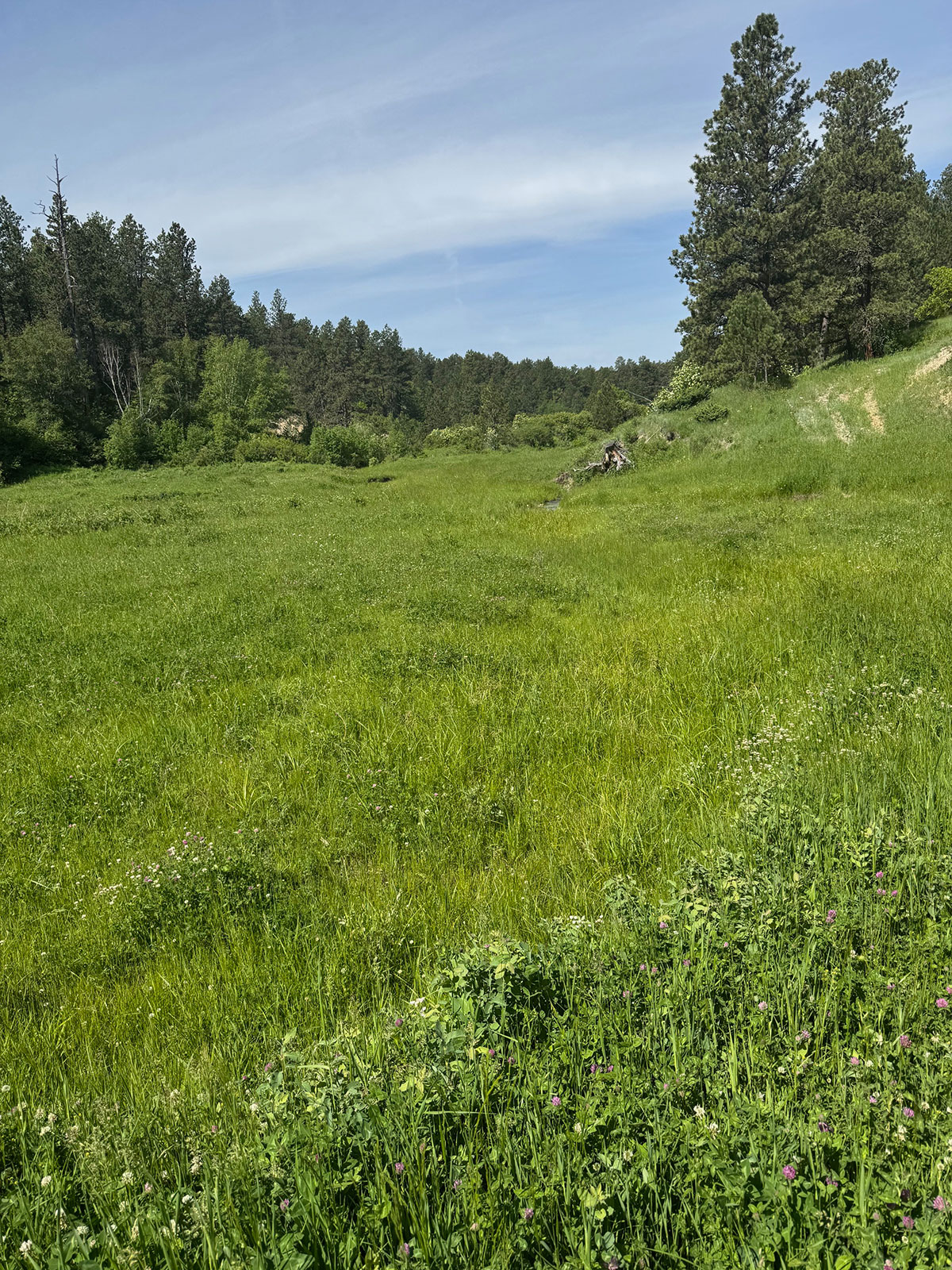 Devils Tower, Wyoming, 82714, United States, 2 Bedrooms Bedrooms, ,1 BathroomBathrooms,Land,Forsale,1919007