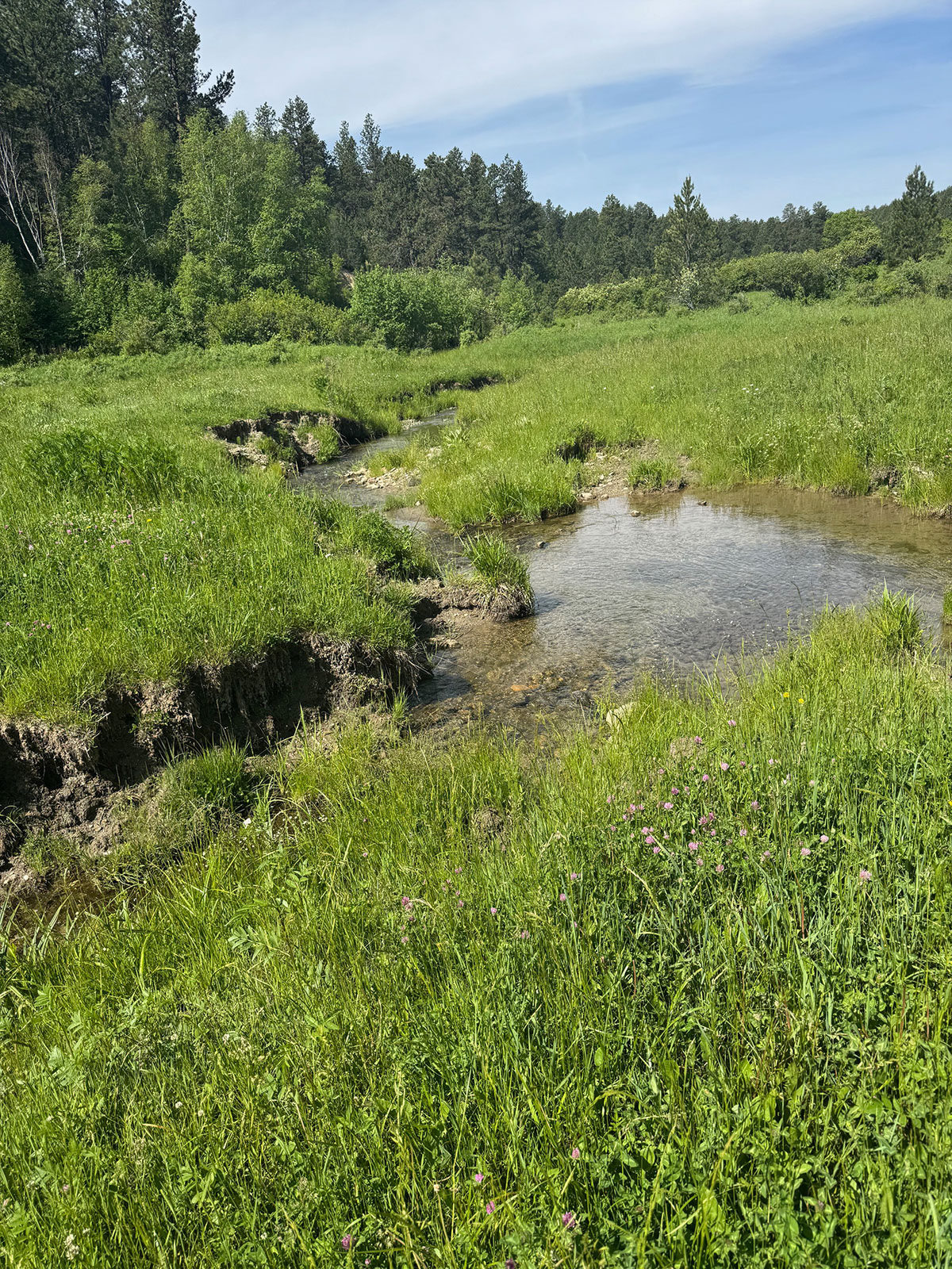 Devils Tower, Wyoming, 82714, United States, 2 Bedrooms Bedrooms, ,1 BathroomBathrooms,Land,Forsale,1919007