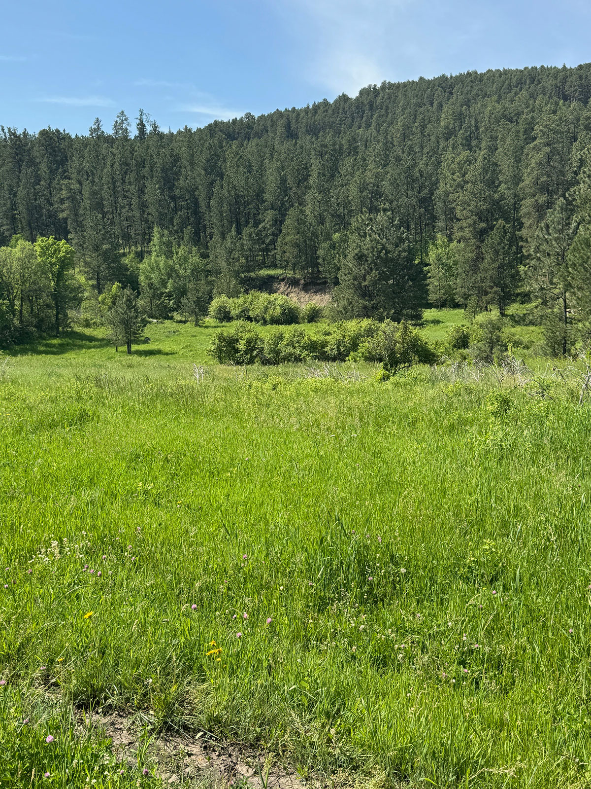 Devils Tower, Wyoming, 82714, United States, 2 Bedrooms Bedrooms, ,1 BathroomBathrooms,Land,Forsale,1919007