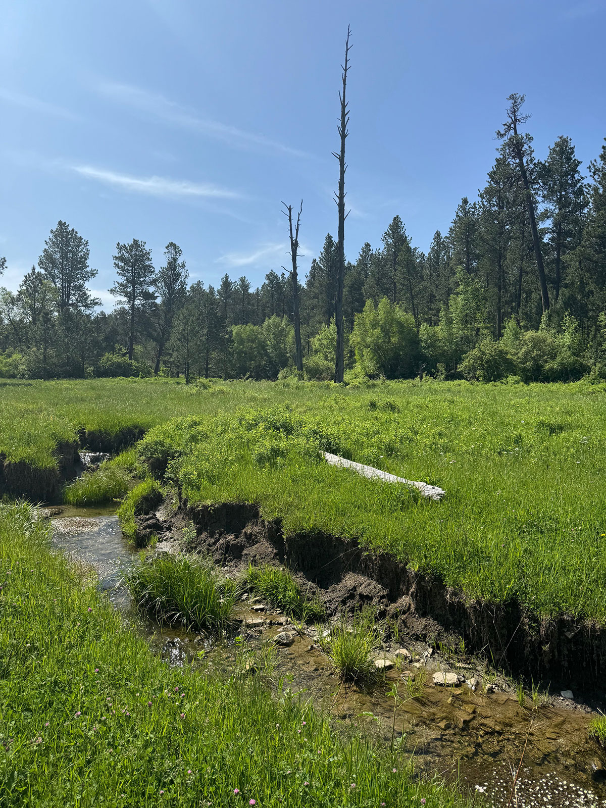 Devils Tower, Wyoming, 82714, United States, 2 Bedrooms Bedrooms, ,1 BathroomBathrooms,Land,Forsale,1919007