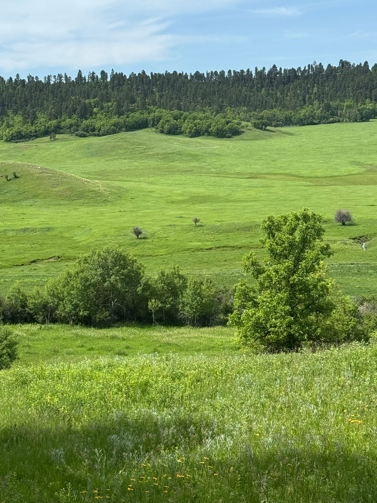 Devils Tower, Wyoming, 82714, United States, 2 Bedrooms Bedrooms, ,1 BathroomBathrooms,Land,Forsale,1919007