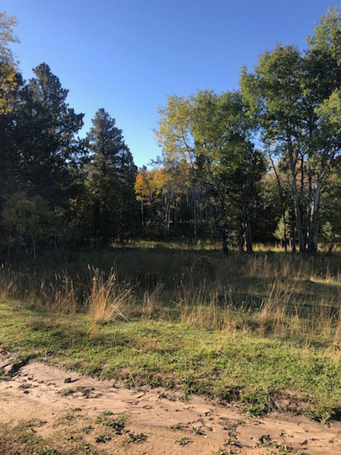Devils Tower, Wyoming, 82714, United States, 2 Bedrooms Bedrooms, ,1 BathroomBathrooms,Land,Forsale,1919007