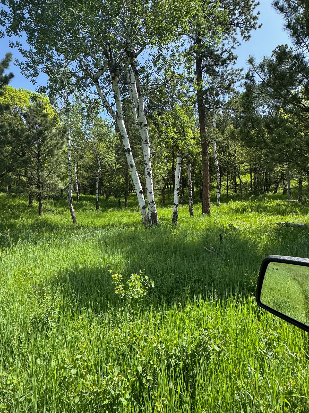 Devils Tower, Wyoming, 82714, United States, 2 Bedrooms Bedrooms, ,1 BathroomBathrooms,Land,Forsale,1919007