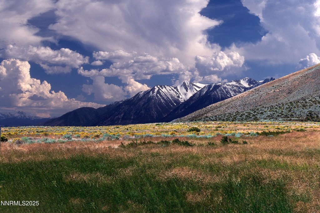 Genoa, Nevada, 89411, United States, ,Land,Forsale,1967387