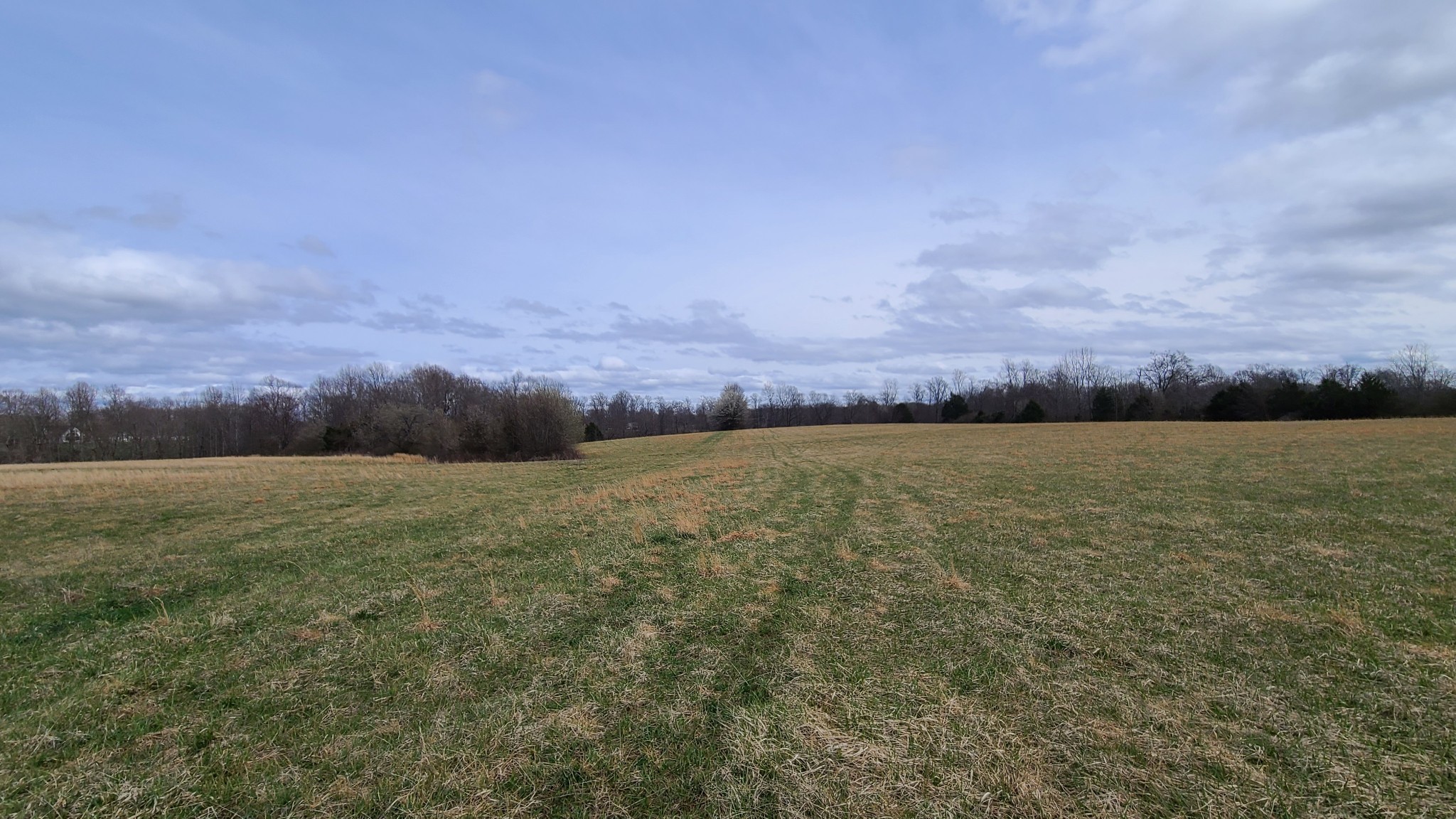 Smithville, Tennessee, 37166, United States, ,Land,Forsale,1999480