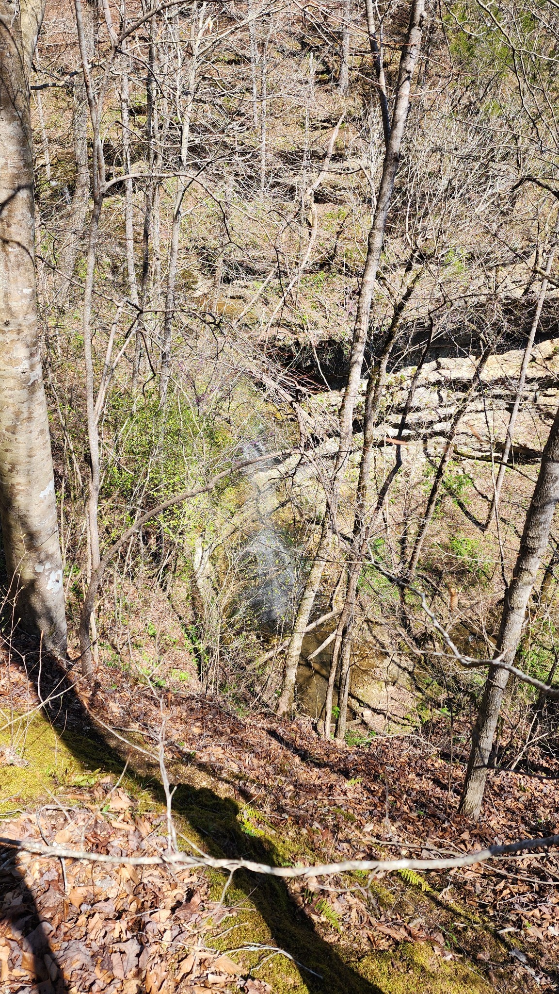 Smithville, Tennessee, 37166, United States, ,Land,Forsale,1999481