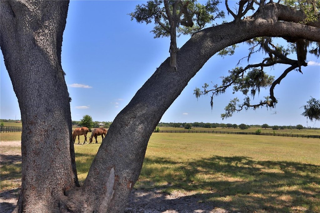 DUNNELLON, Florida, 34432, United States, 1 Bedroom Bedrooms, ,1 BathroomBathrooms,Residential,Forsale,1903063