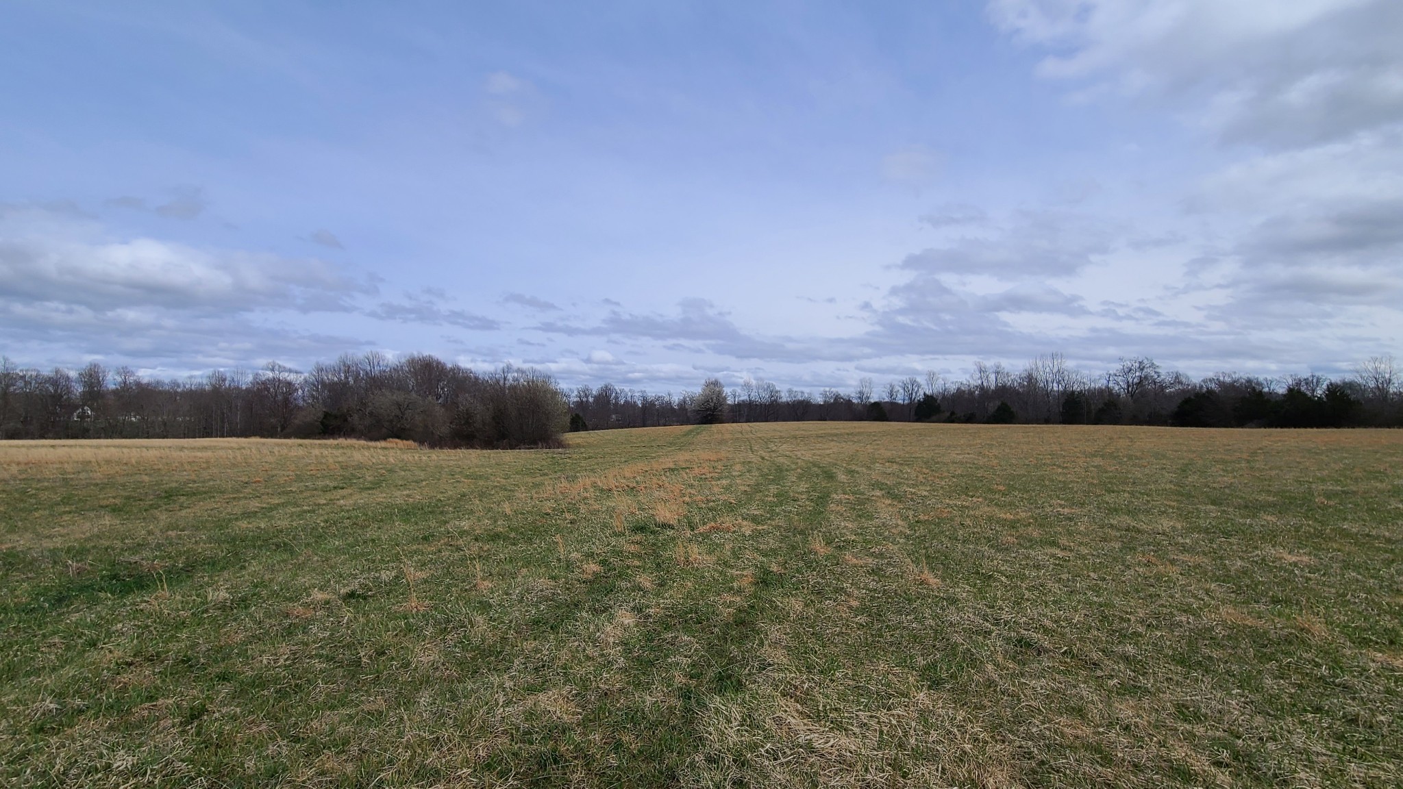 Smithville, Tennessee, 37166, United States, ,Land,Forsale,1999480