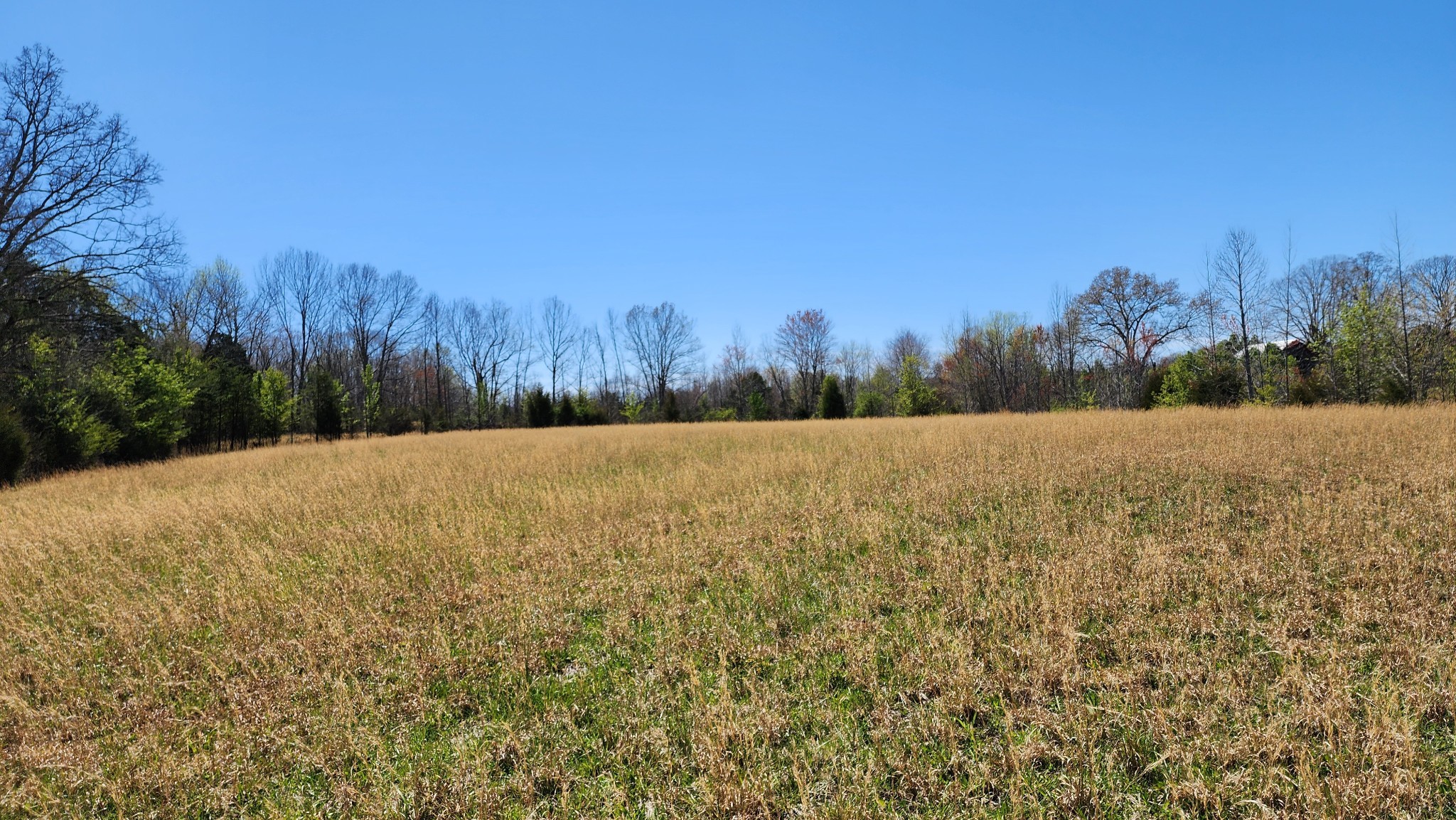 Smithville, Tennessee, 37166, United States, ,Land,Forsale,1999481