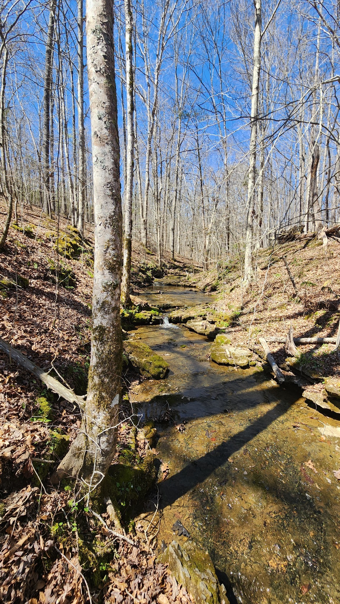 Smithville, Tennessee, 37166, United States, ,Land,Forsale,1999481