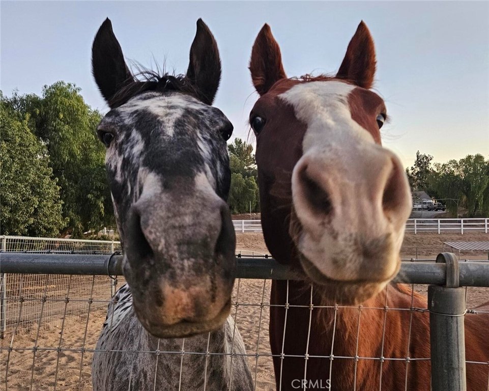 Temecula, California, 92592, United States, 3 Bedrooms Bedrooms, ,3 BathroomsBathrooms,Residential,Forsale,2001127