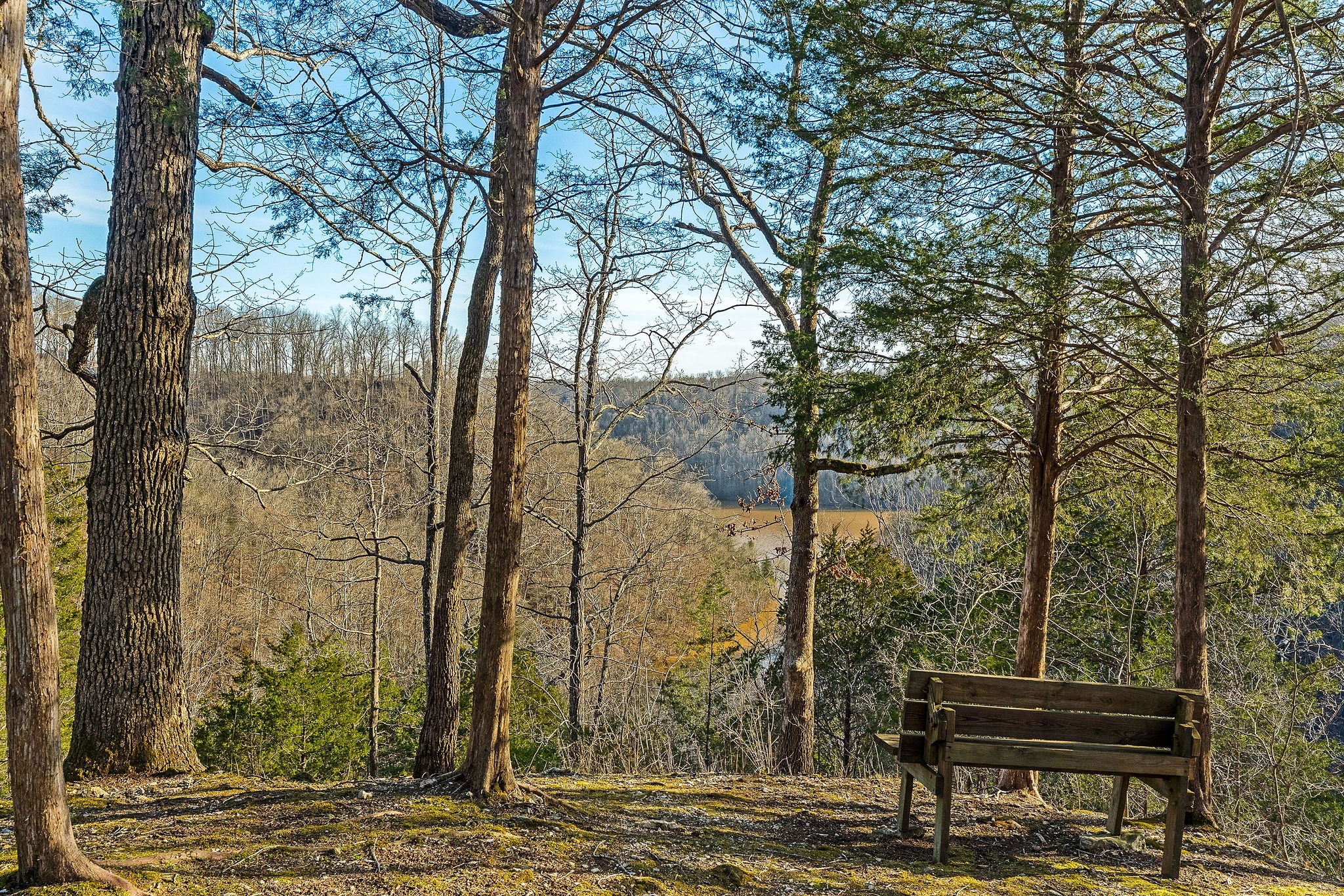 Sparta, Tennessee, 38583, United States, 3 Bedrooms Bedrooms, ,3.5 BathroomsBathrooms,Residential,Forsale,1968516