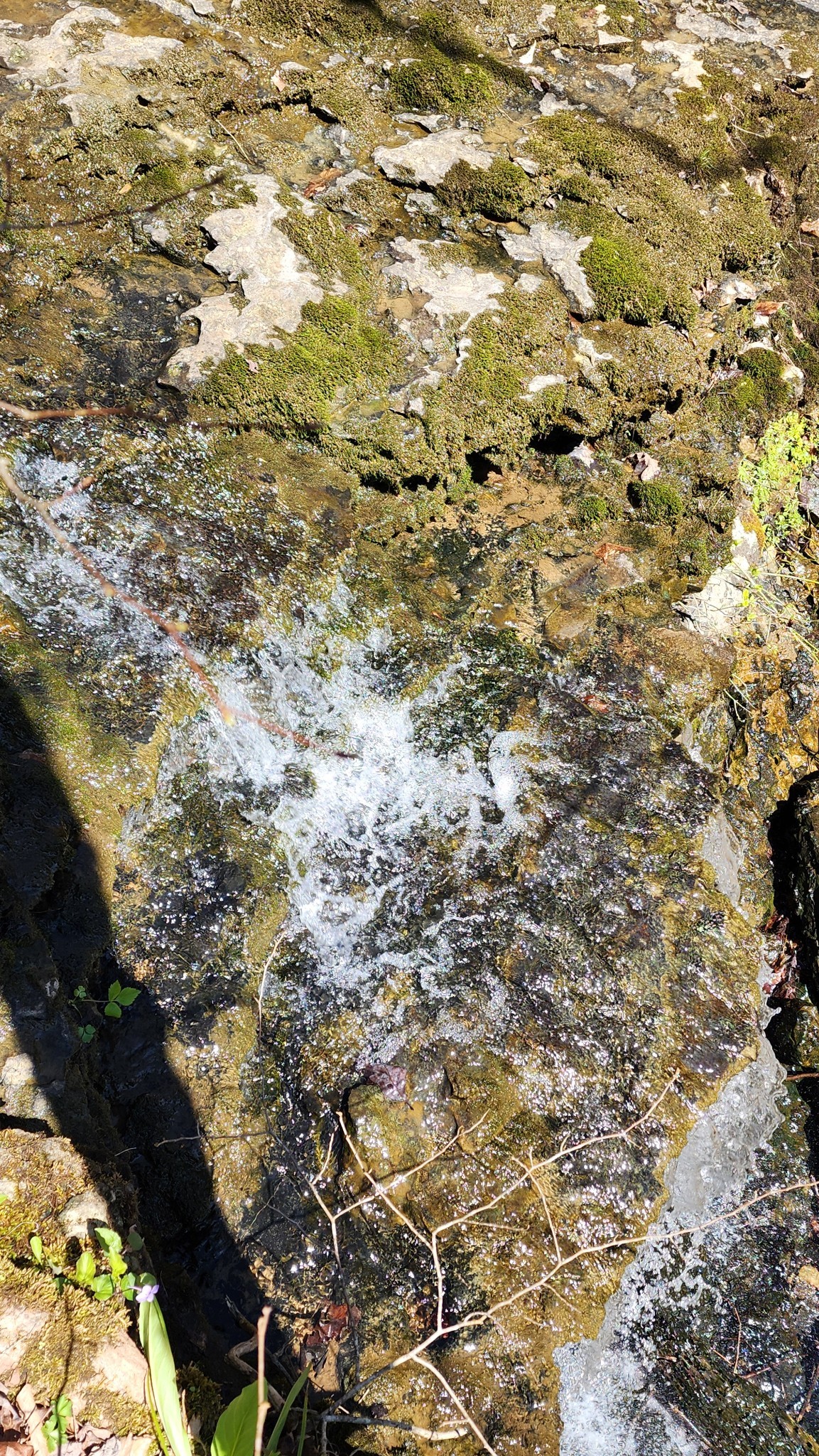 Smithville, Tennessee, 37166, United States, ,Land,Forsale,1999481