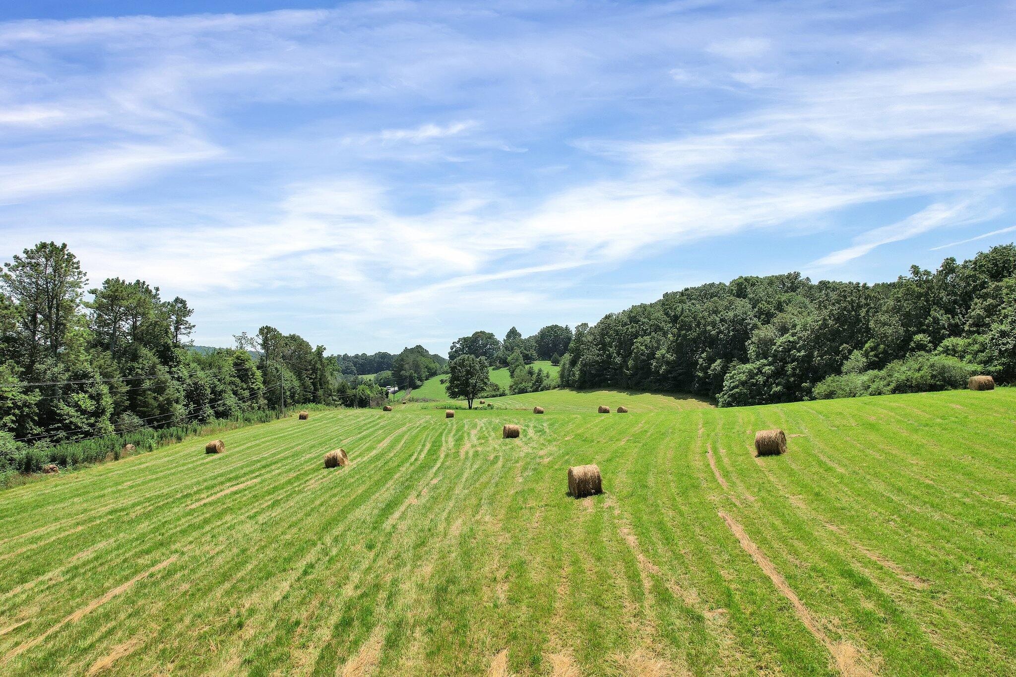 Cleveland, Tennessee, 37323, United States, 3 Bedrooms Bedrooms, ,2 BathroomsBathrooms,Residential,Forsale,2004691