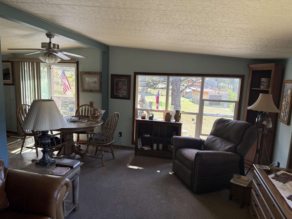 Custer, South Dakota, 57730, United States, 3 Bedrooms Bedrooms, ,2 BathroomsBathrooms,Residential,Forsale,1946253