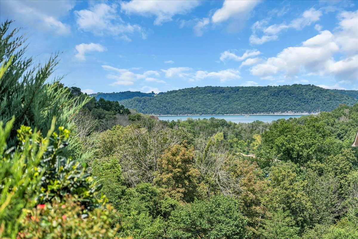 Smithville, Tennessee, 37166, United States, 4 Bedrooms Bedrooms, ,3 BathroomsBathrooms,Residential,Forsale,1999478