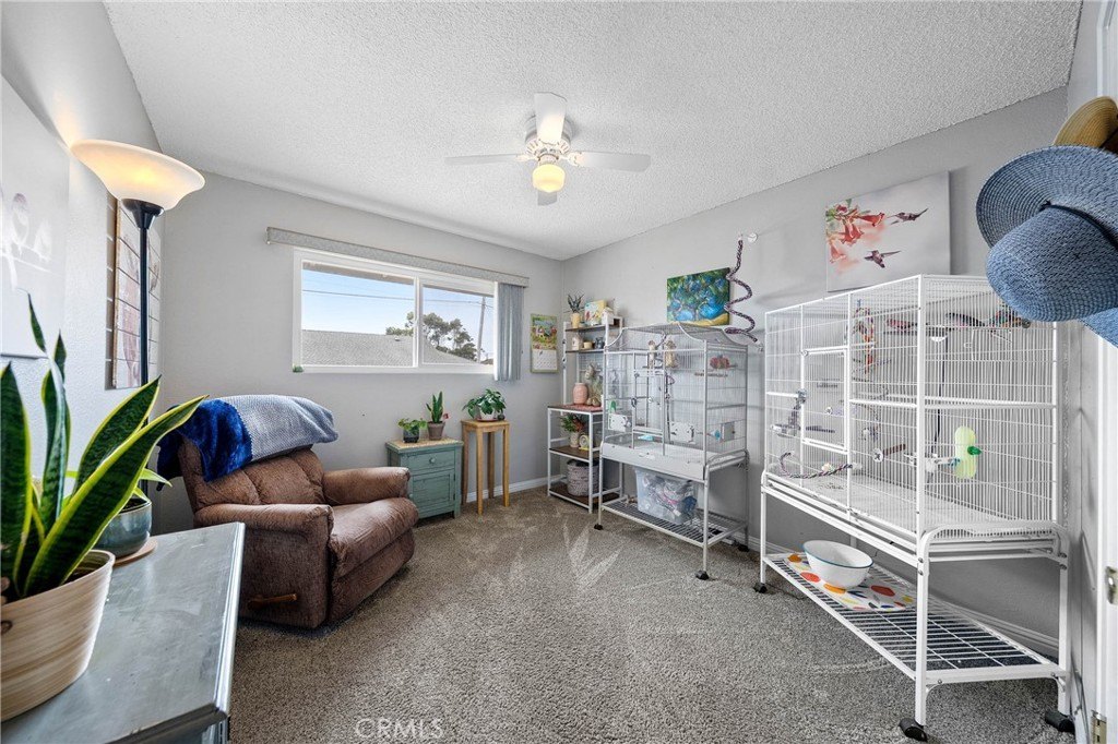 Fort Bragg, California, 95437, United States, 3 Bedrooms Bedrooms, ,2 BathroomsBathrooms,Residential,Forsale,1934037