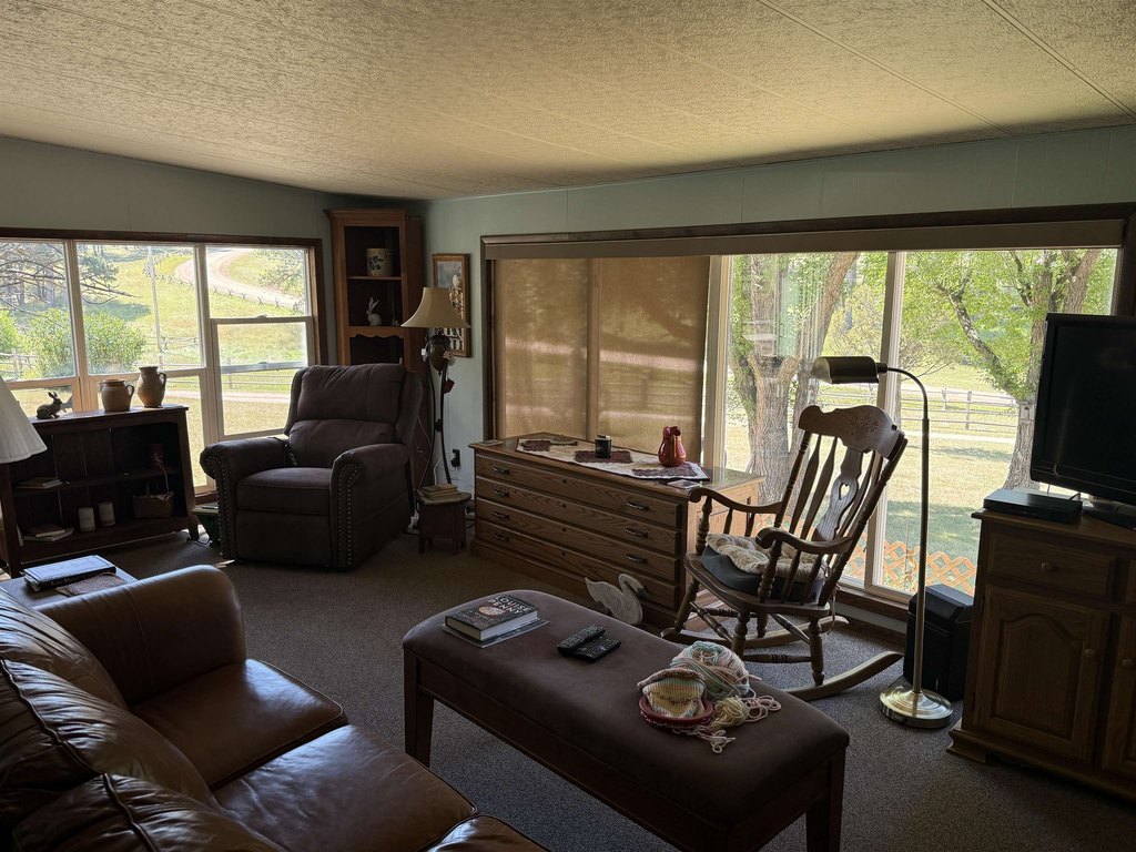 Custer, South Dakota, 57730, United States, 3 Bedrooms Bedrooms, ,2 BathroomsBathrooms,Residential,Forsale,1946253