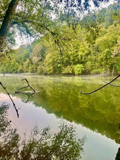 Celina, Tennessee, 38551, United States, 3 Bedrooms Bedrooms, ,2 BathroomsBathrooms,Residential,Forsale,1929825