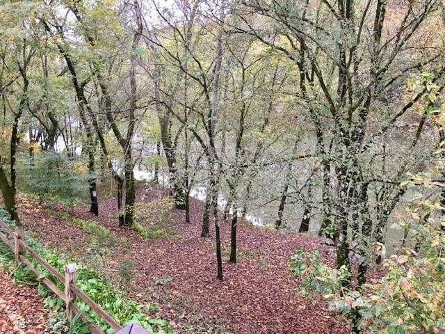 Celina, Tennessee, 38551, United States, 3 Bedrooms Bedrooms, ,2 BathroomsBathrooms,Residential,Forsale,1929825