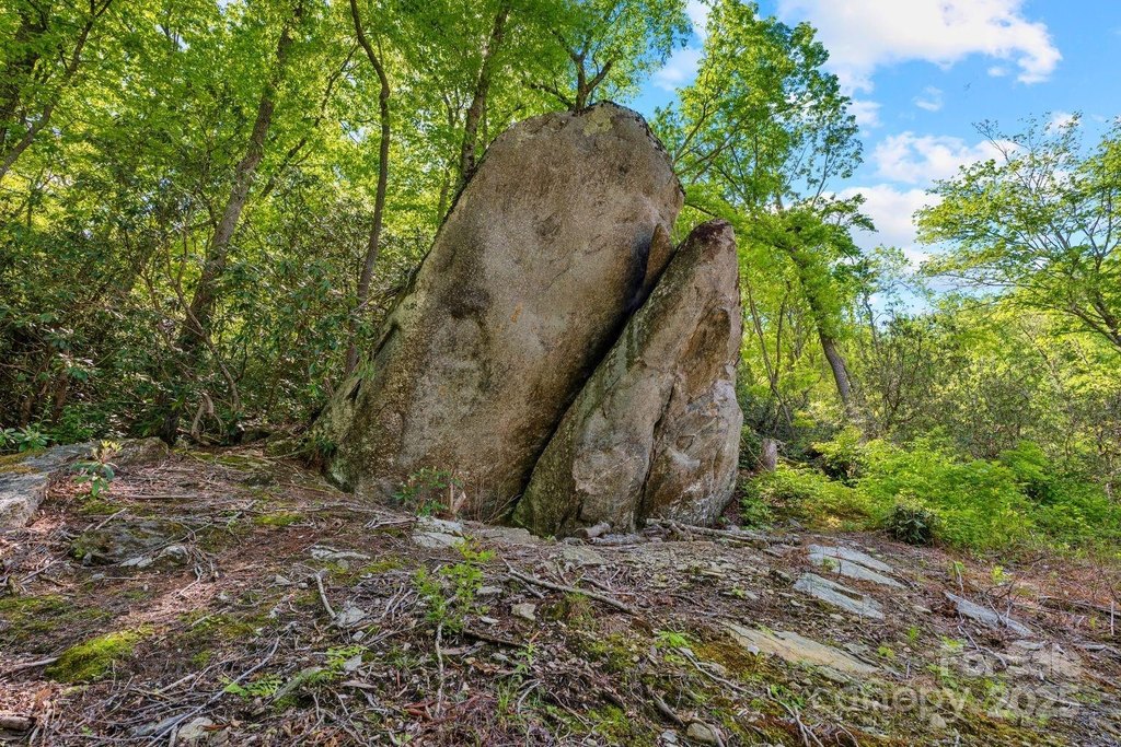 Hendersonville, North Carolina, 28792, United States, 3 Bedrooms Bedrooms, ,3 BathroomsBathrooms,Residential,Forsale,1962019