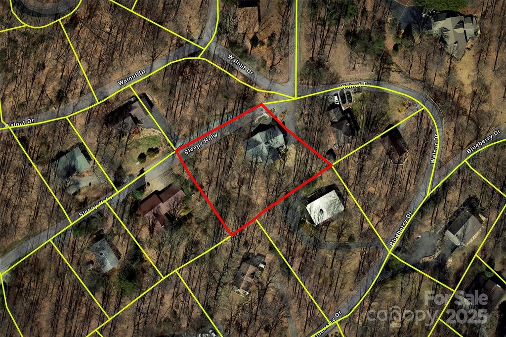 Maggie Valley, North Carolina, 28751, United States, 3 Bedrooms Bedrooms, ,3 BathroomsBathrooms,Residential,Forsale,1960259