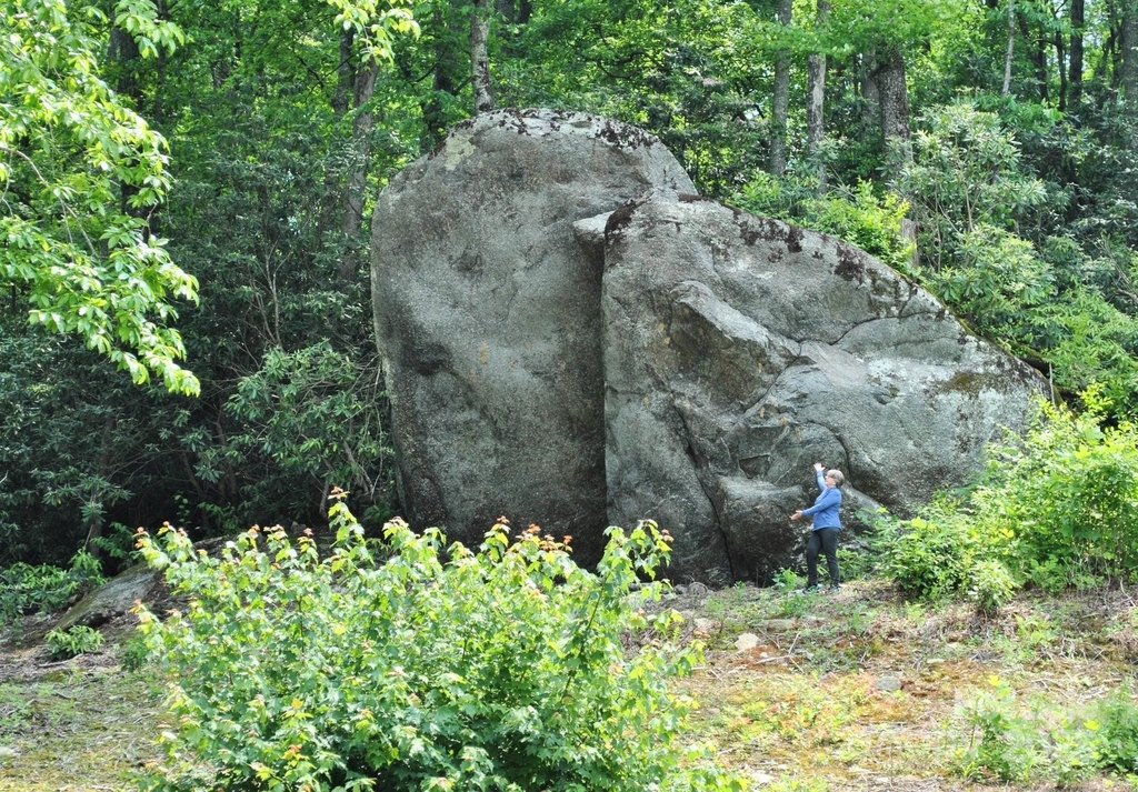 Hendersonville, North Carolina, 28792, United States, 3 Bedrooms Bedrooms, ,3 BathroomsBathrooms,Residential,Forsale,1962019