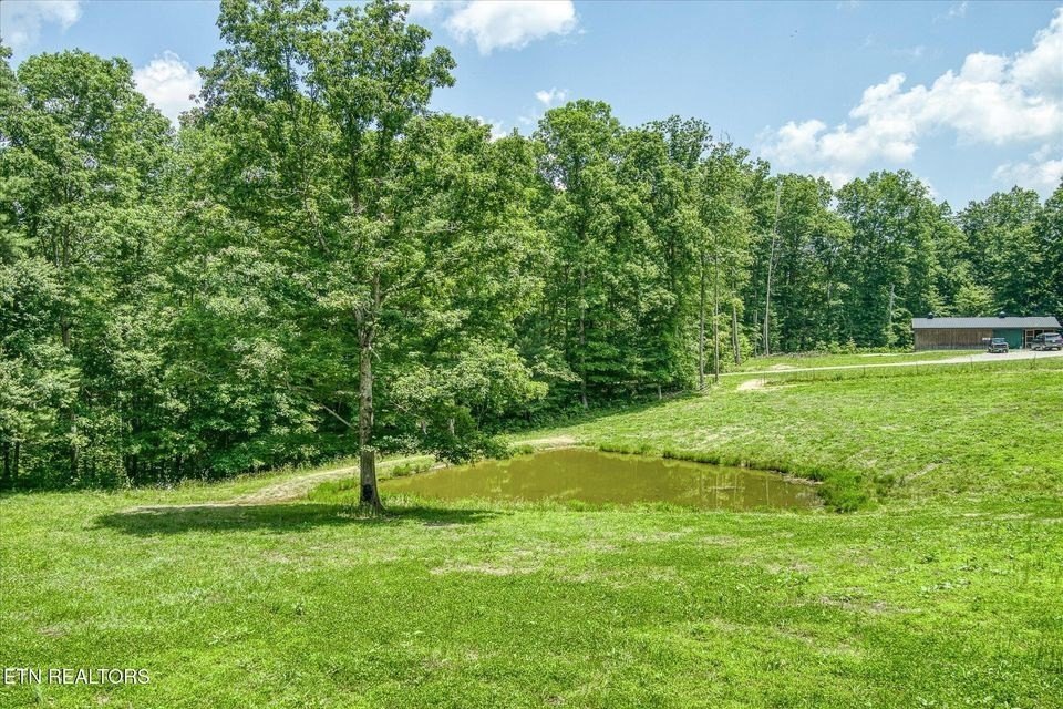 Deer Lodge, Tennessee, 37726, United States, 6 Bedrooms Bedrooms, ,2 BathroomsBathrooms,Residential,Forsale,1929820