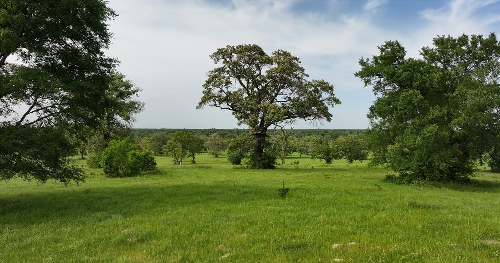 Midway, Texas, 75852, United States, ,Residential,Forsale,1936472