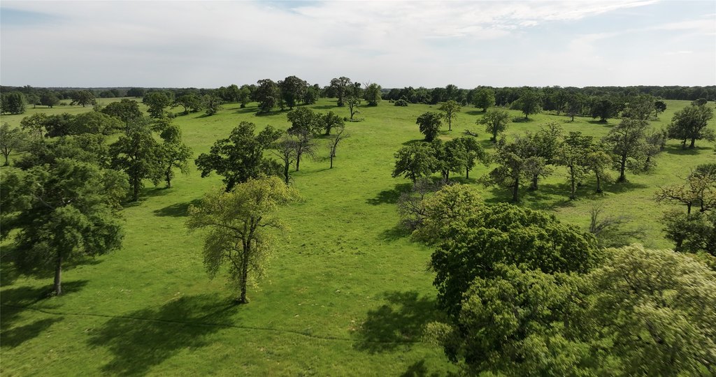 Midway, Texas, 75852, United States, ,Residential,Forsale,1936472