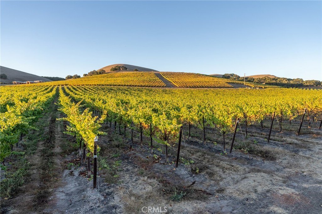 San Luis Obispo, California, 93401, United States, ,Land,Forsale,1929249
