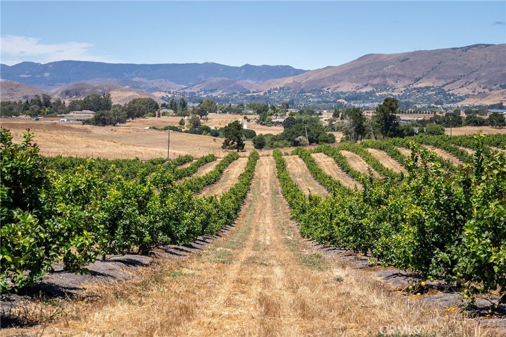 San Luis Obispo, California, 93401, United States, ,Land,Forsale,1929249