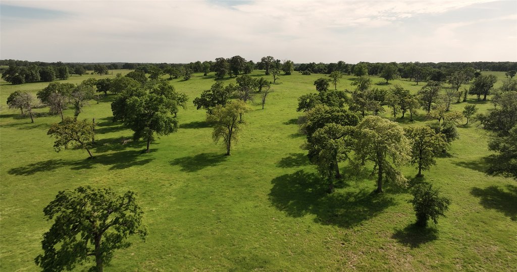 Midway, Texas, 75852, United States, ,Residential,Forsale,1936472