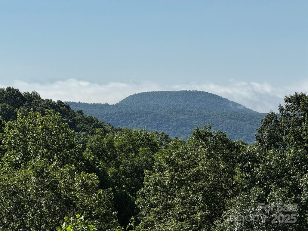 Flat Rock, North Carolina, 28731, United States, 4 Bedrooms Bedrooms, ,3.5 BathroomsBathrooms,Residential,Forsale,1886036